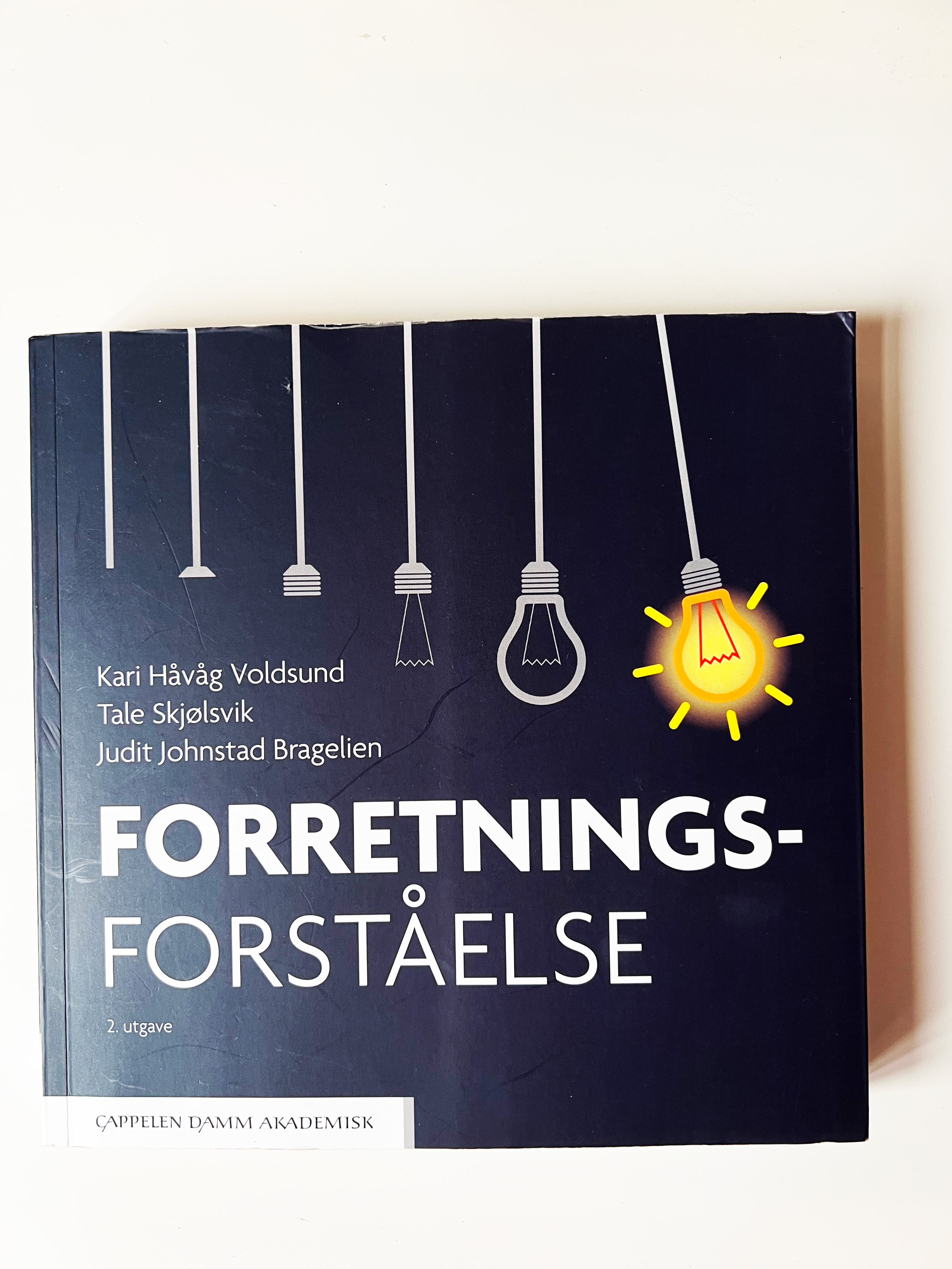 Forretningsforståelse, 2 utg 