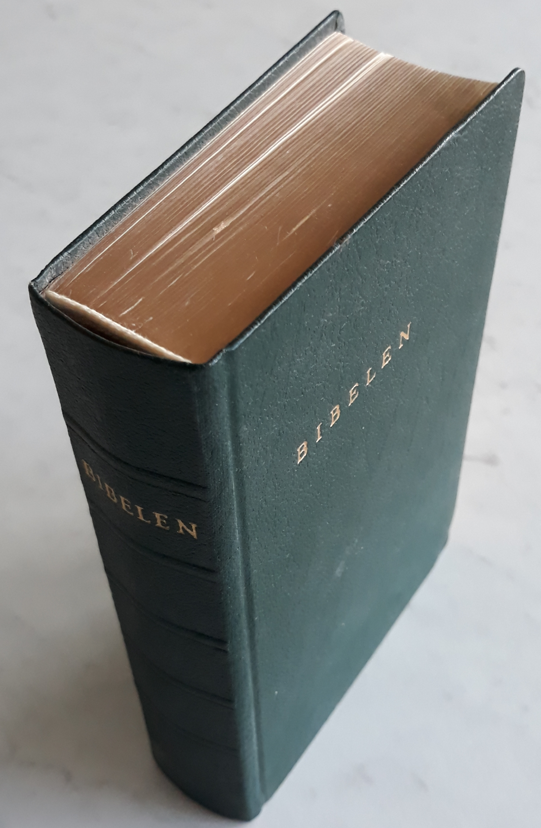 Bibelen eller Den Hellige Skrift. Det Gamle og det Nye Testamentes kanoniske Bøker