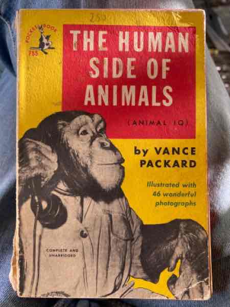 The Human Side of Animals