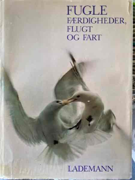 FUGLE