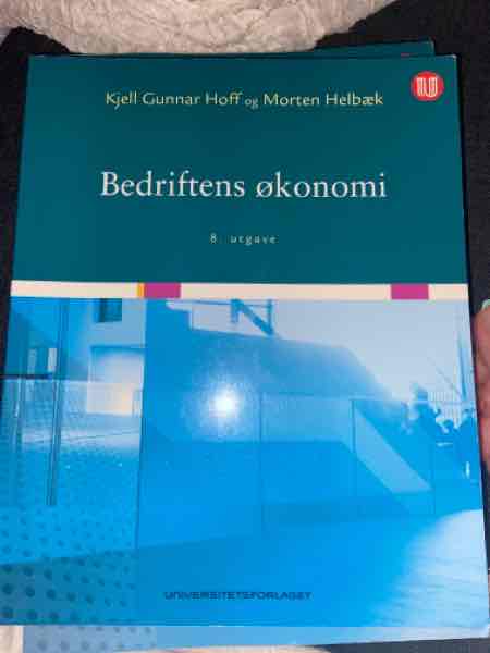 Bedriftens økonomi