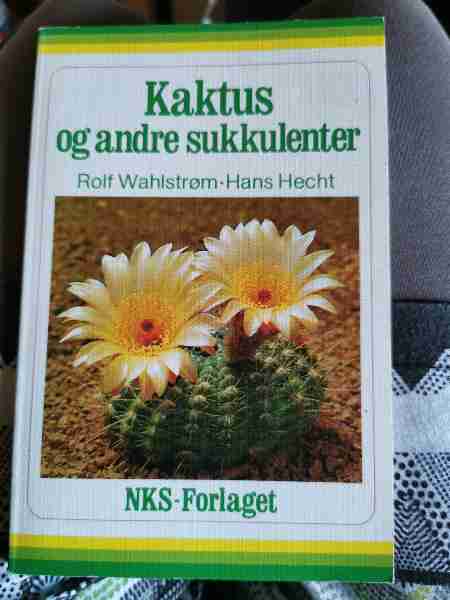 Kaktus og andre sukkulenter
