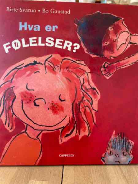Hva er følelser?