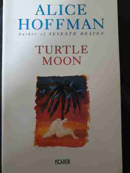 Turtle moon