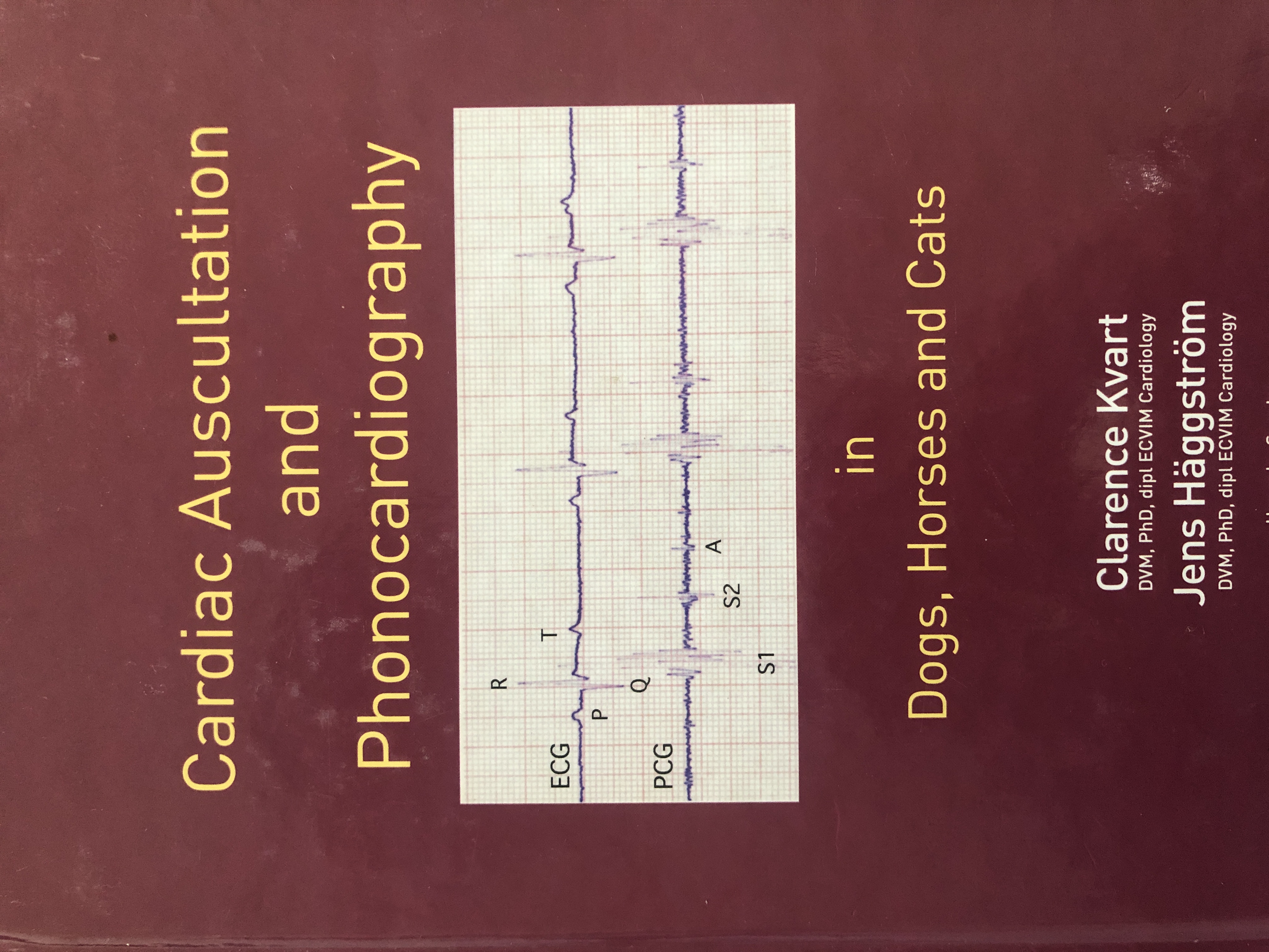 Cardiac Auscultation and Phonocardiography in Dogs, Dorses and Cats