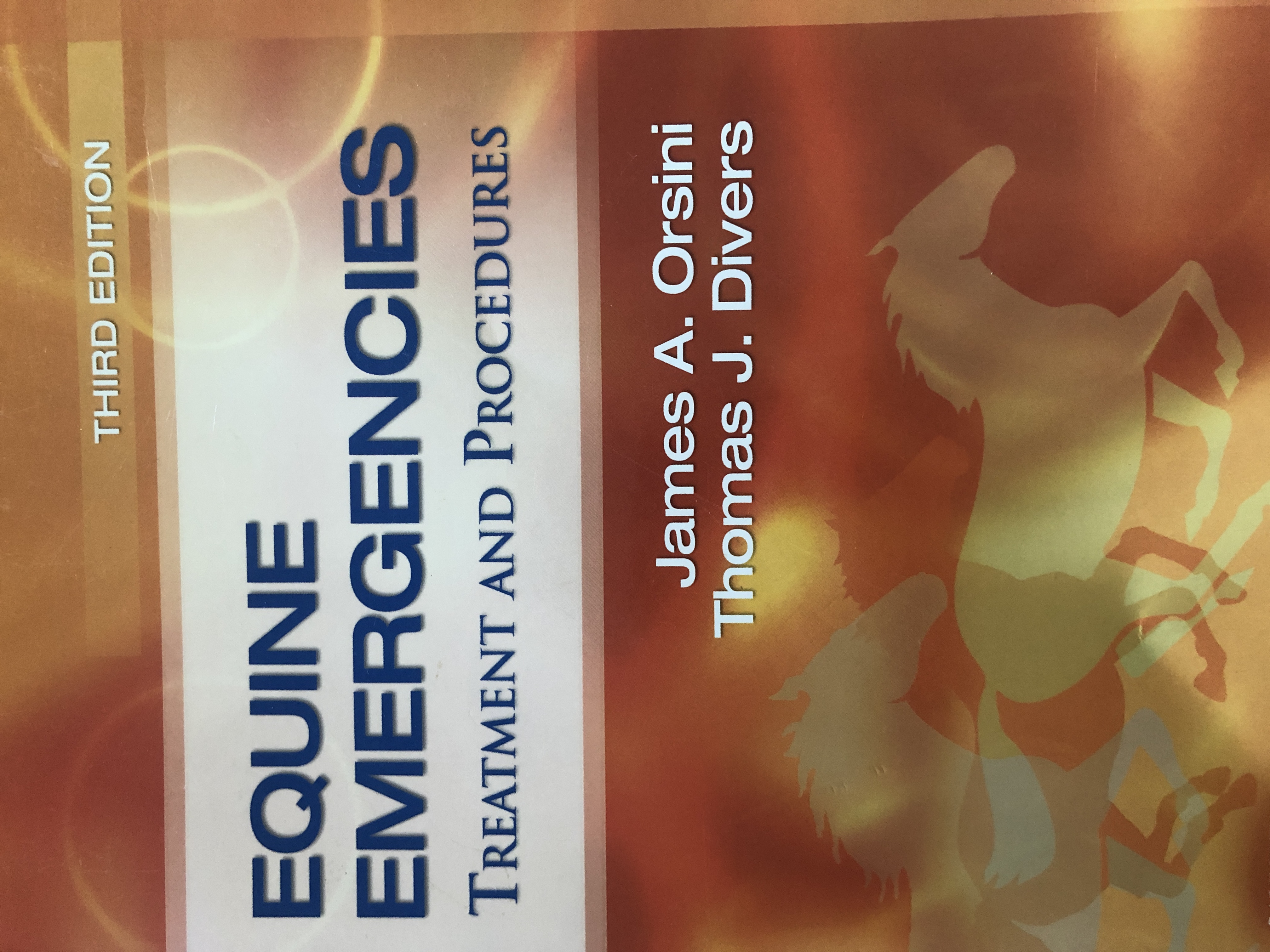 Equine Emergencies: Treatment and Procedures