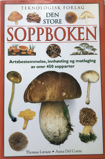Den store soppboken