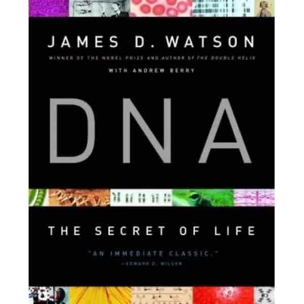 DNA