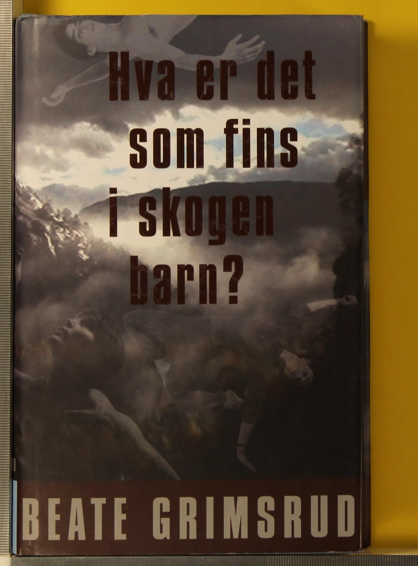 Mannen med masken
