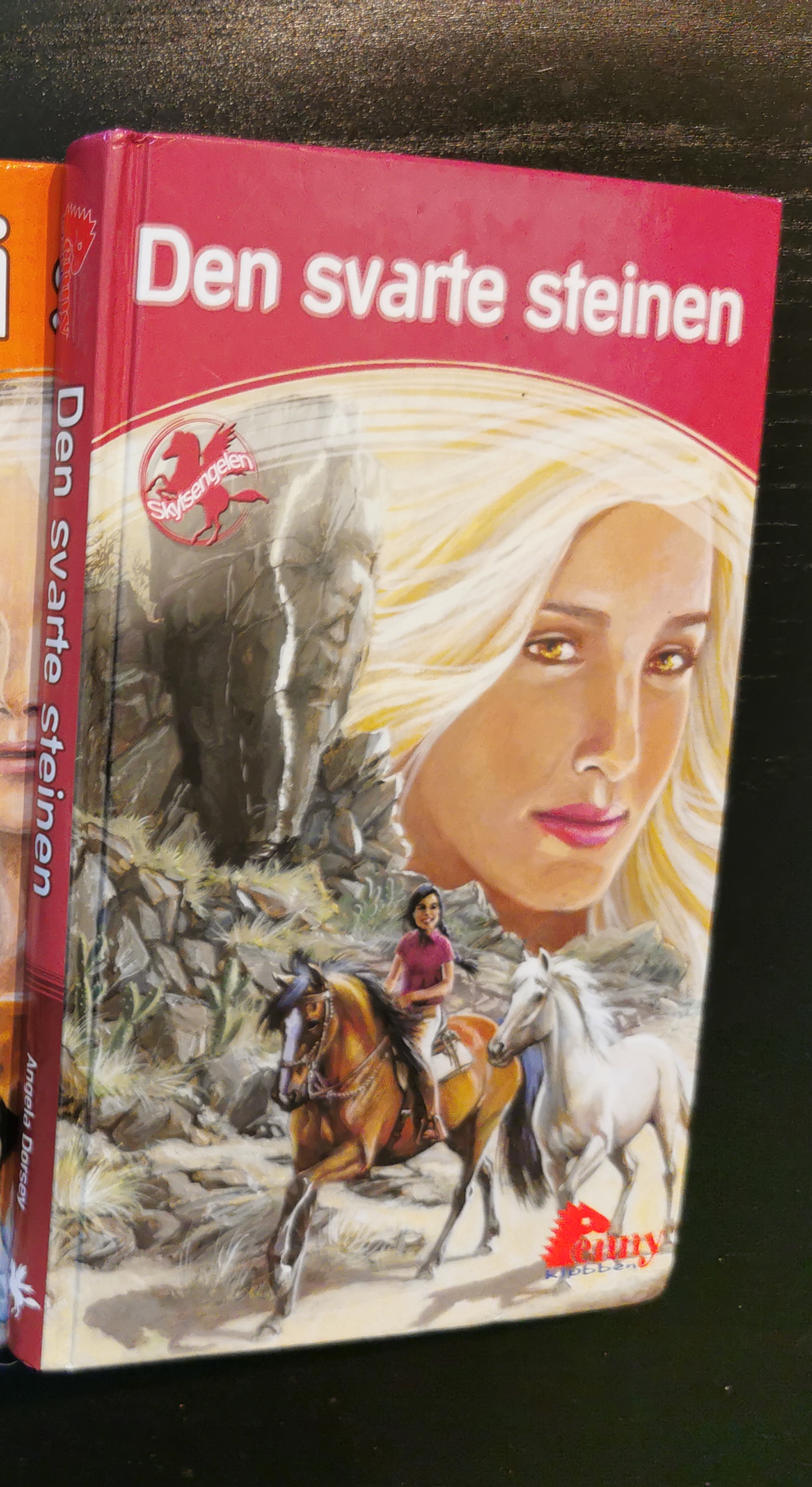 Den svarte steinen