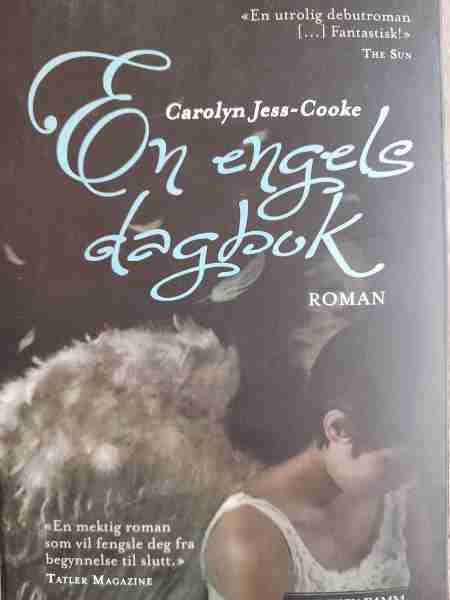 En engelsk dagbok