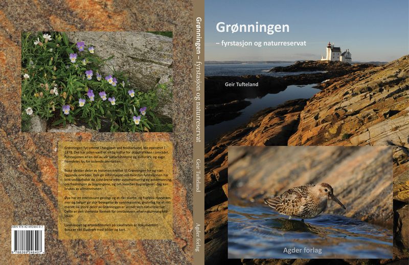 Grønningen