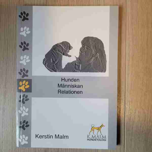 Hunden Människan Relationen