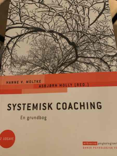 Systemisk Coaching