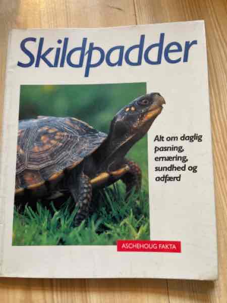 Skildpadder