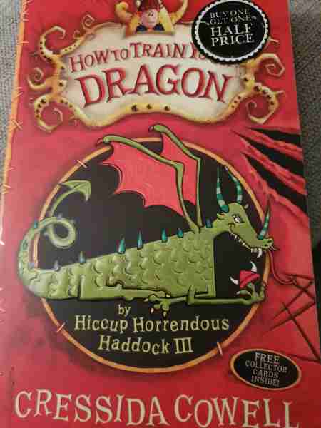 How to train your dragon