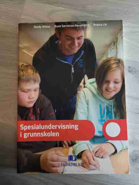 Spesialundervisning i grunnskolen