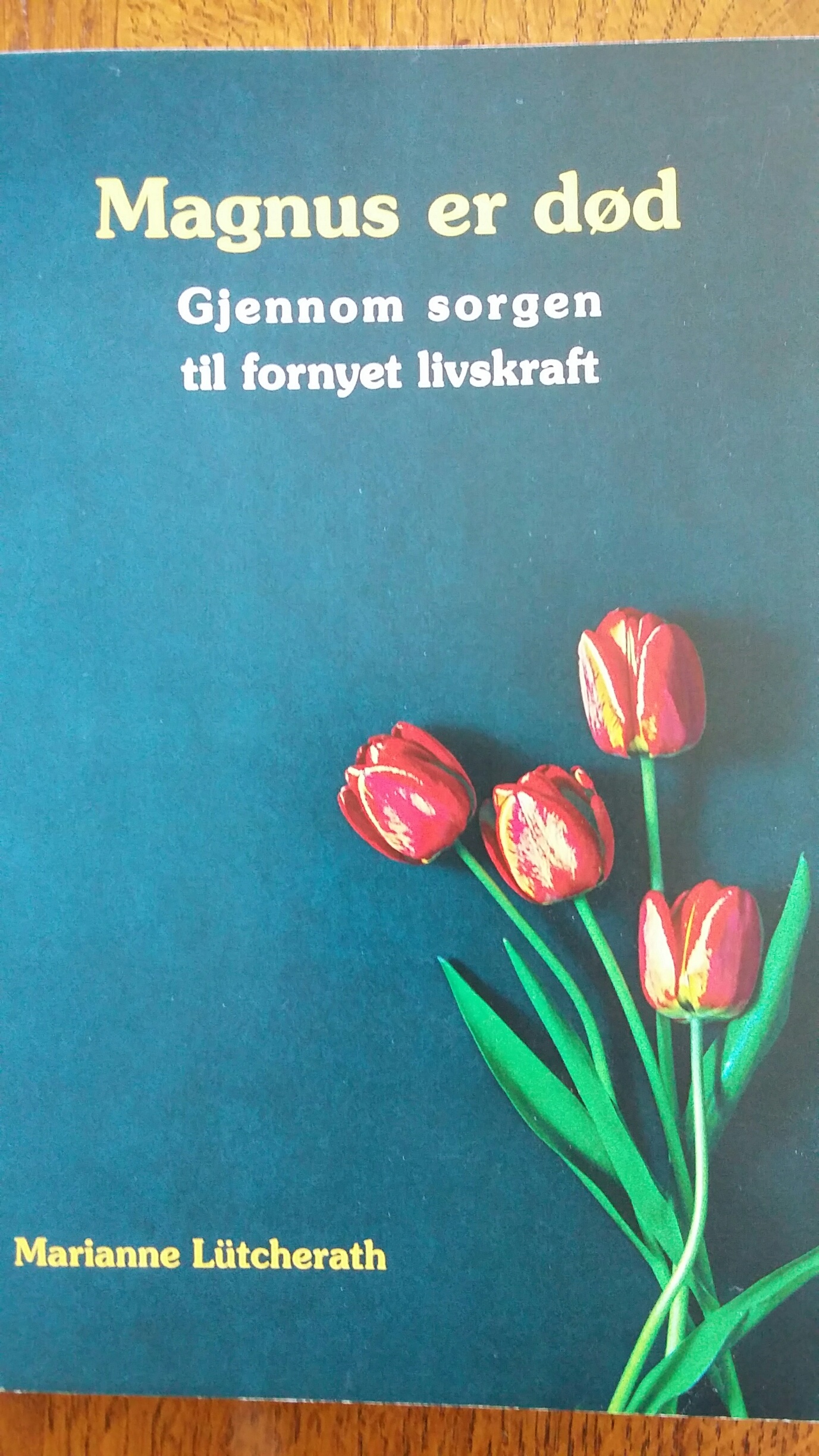 Magnus er død. Gjennom sorgen til fornyet livskraft.