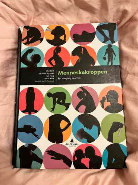 Menneskekroppen