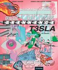 Bilde av en brennende Tesla