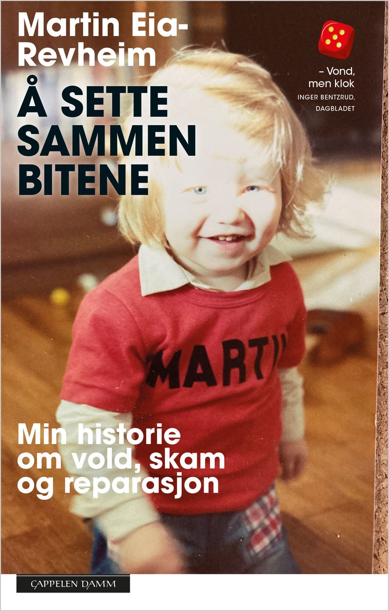 Å sette sammen bitene