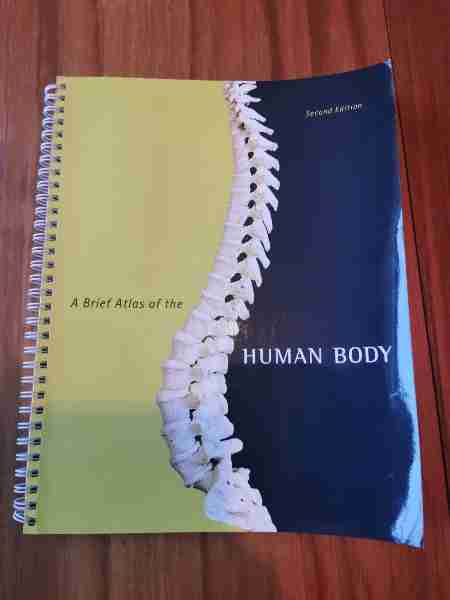 A brief atlas of the human body