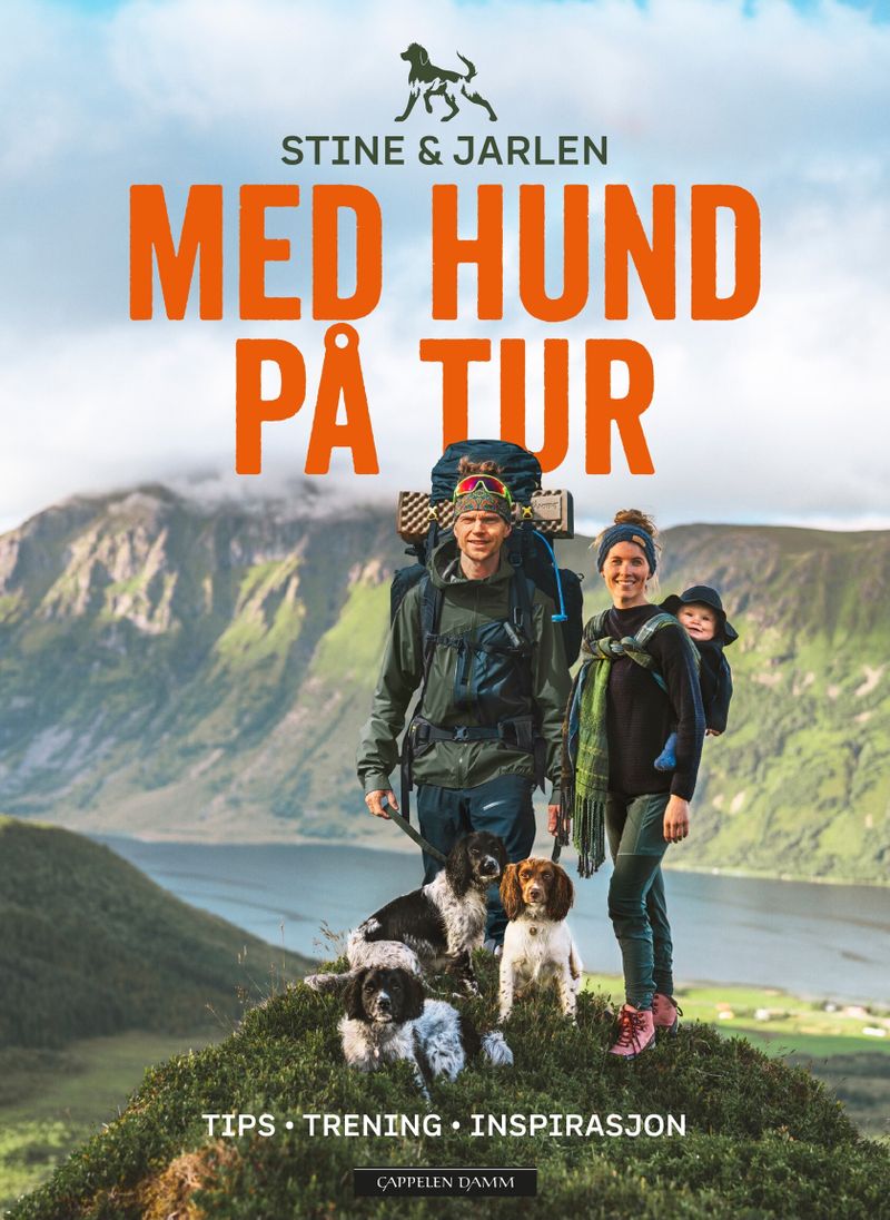 Med hund på tur