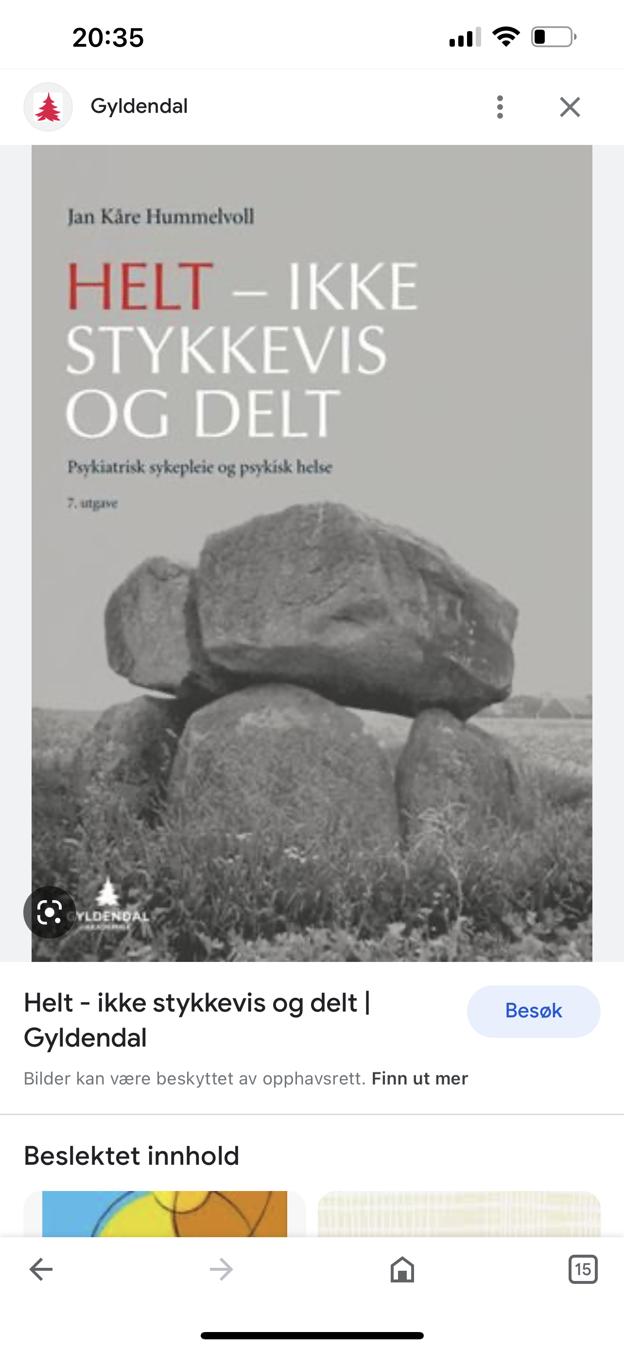 Helt- ikke stykkevis og delt