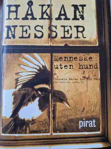 Menneske uten hund