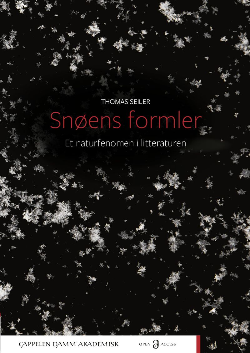 Snøens formler