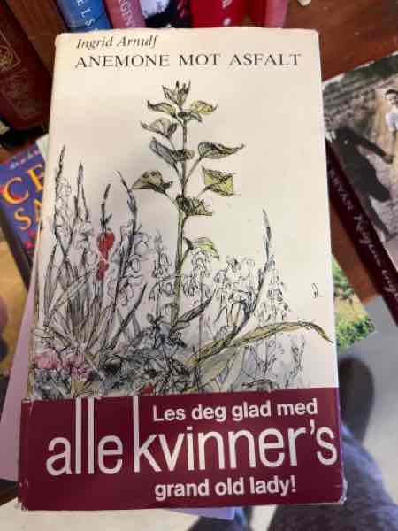 Anemone mot asfalt