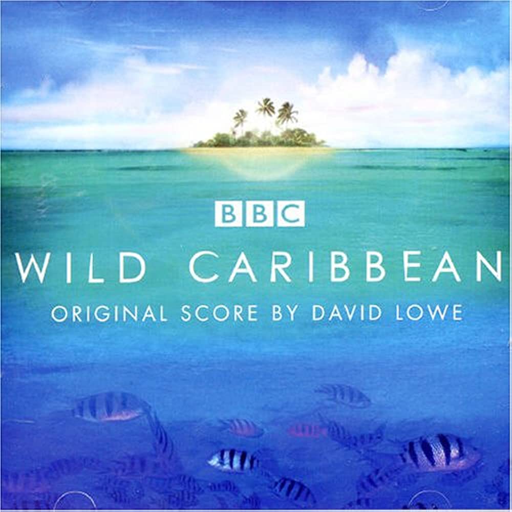 Wild Caribbean