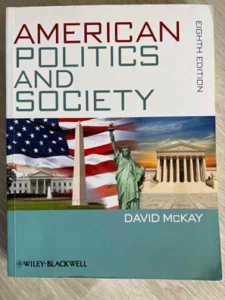 American politics and society