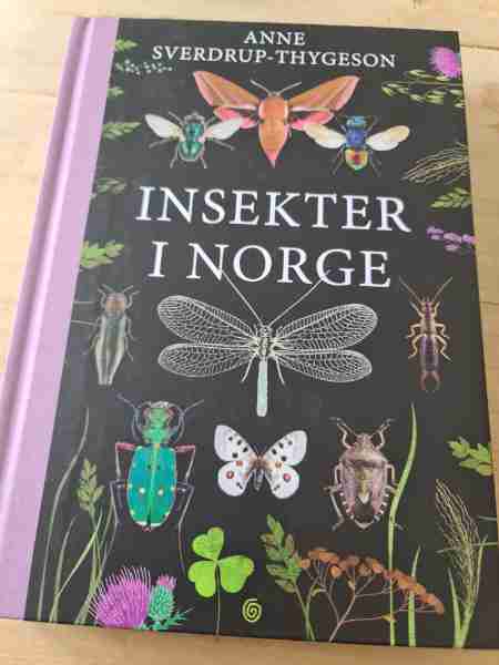Insekter i Norge