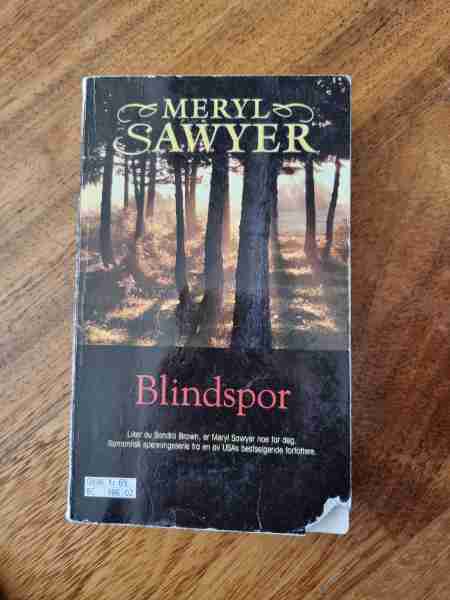 Blindspor