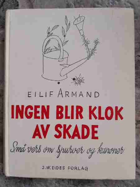 Ingen blir klok av skade