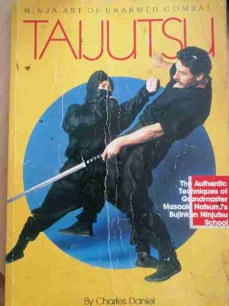 Taijutsu: Ninja Art of Unarmed Combat