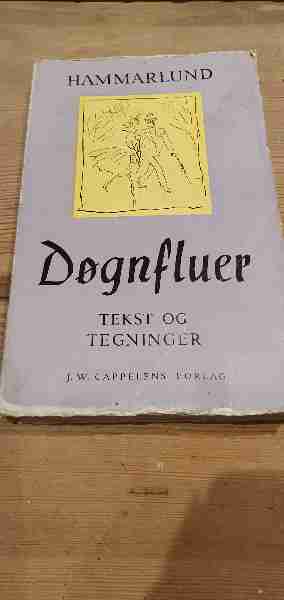 Døgnfluer