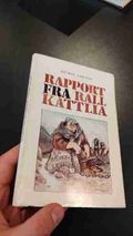 Rapport fra rallkattlia