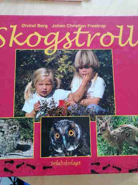 Skogstroll 