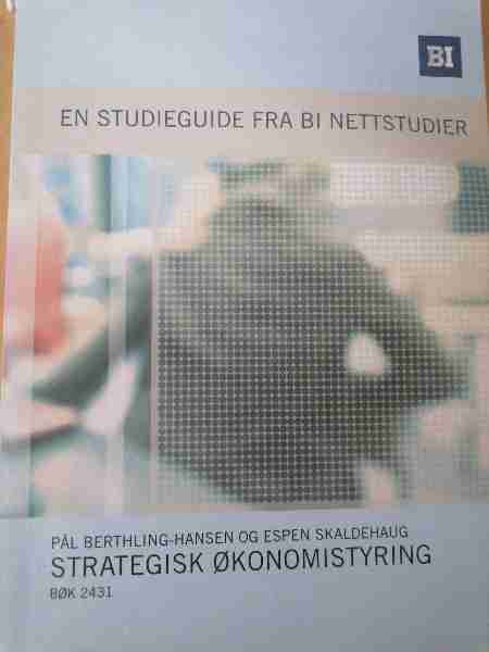 Strategisk Økonomistyring