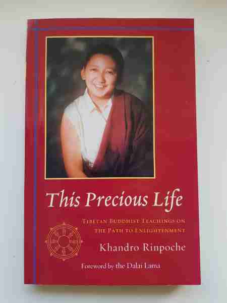 This precious life