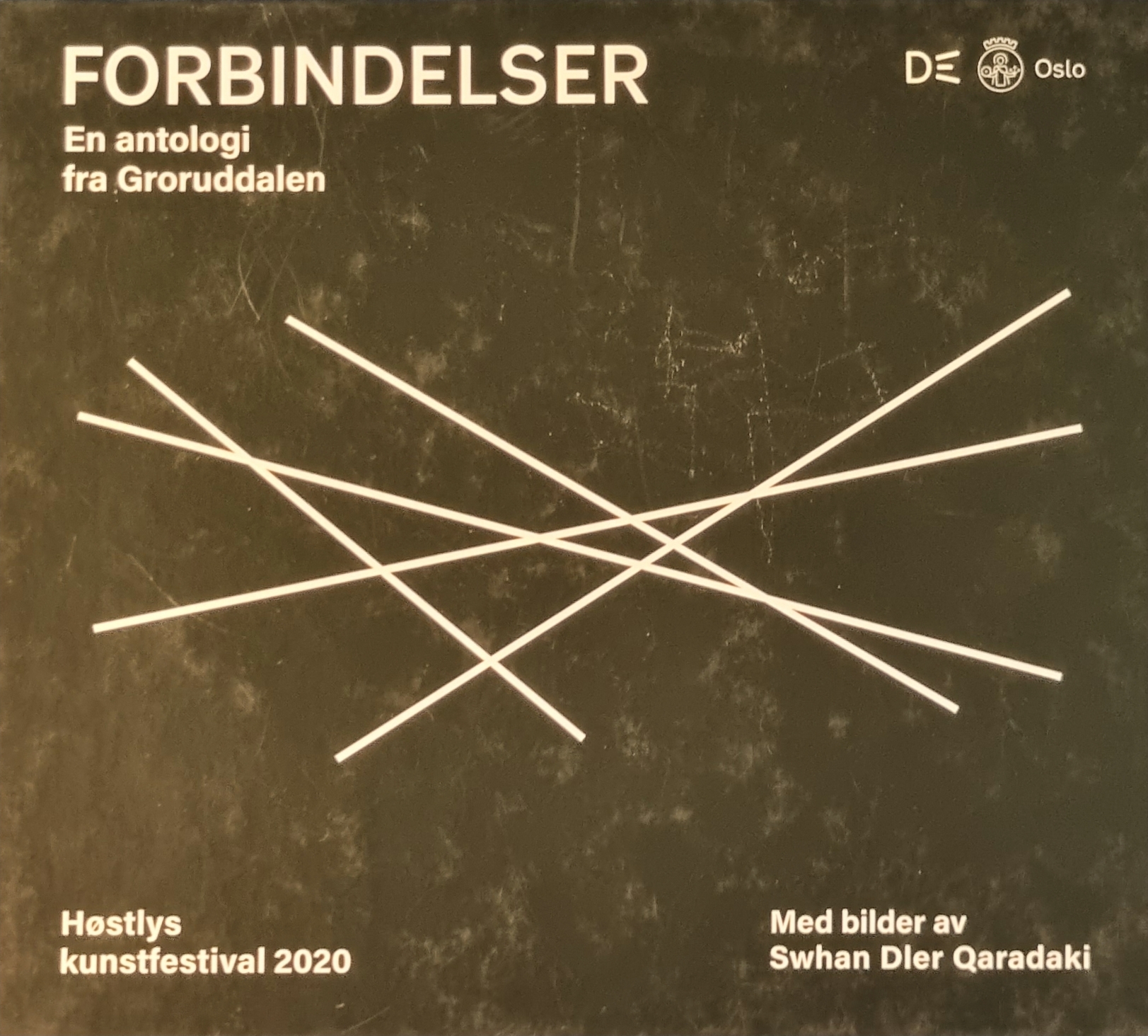 Forbindelser: En antologi fra Groruddalen