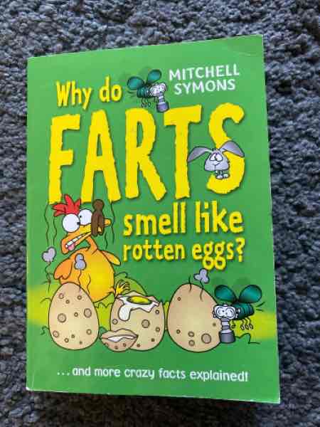 Why do farts smell like rotten eggs?