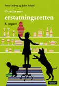 Oversikt over erstatningsretten