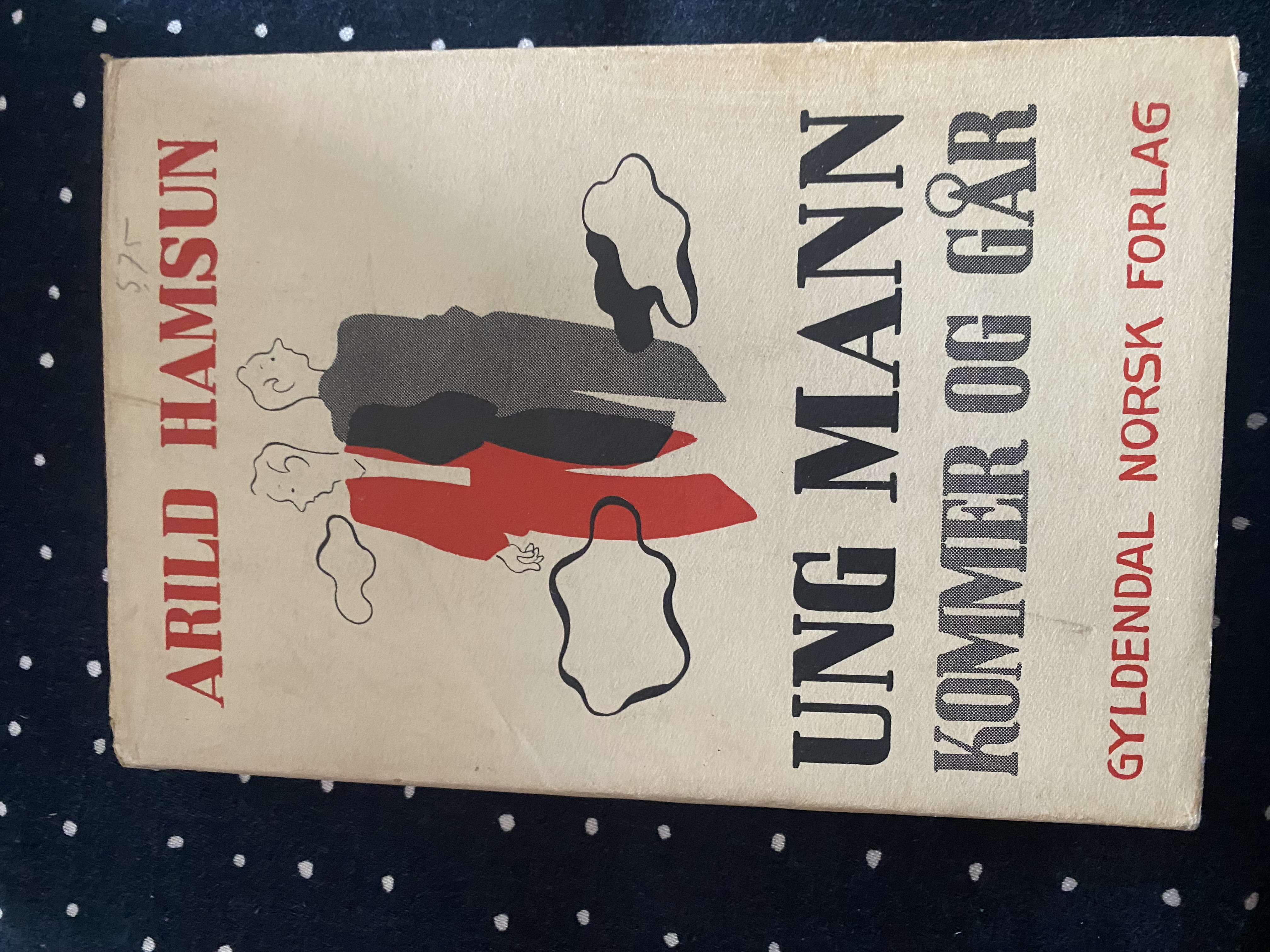 Ung mann kommer og går