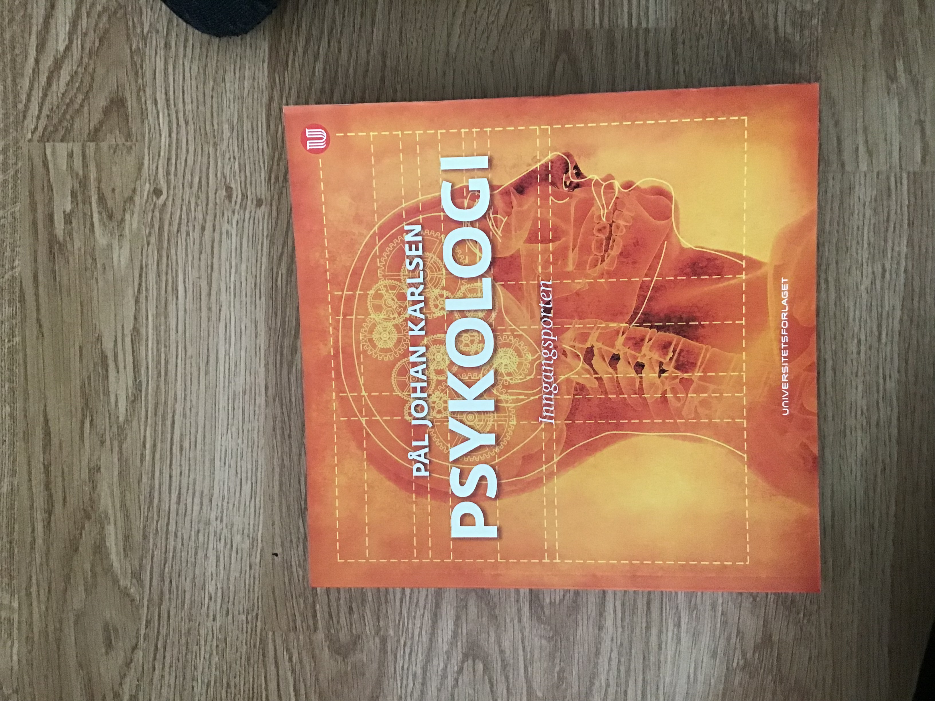 Psykologi: inngangsporten