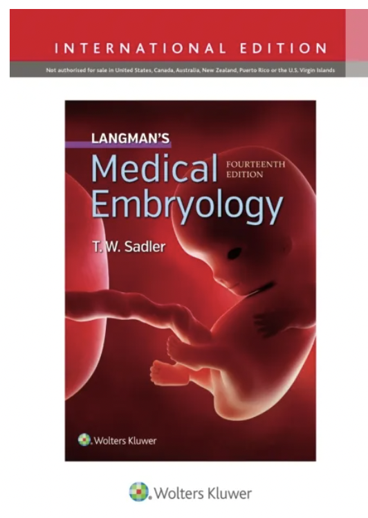 Langman´s medical embryology 14th edition