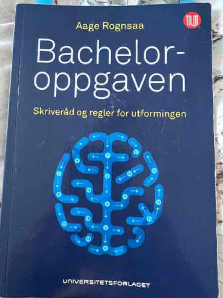 Bacheloroppgaven 