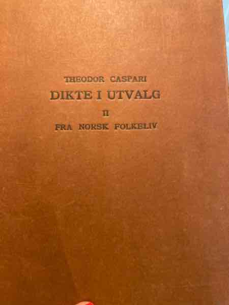 Dikte i utvalg 2